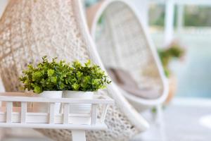 una mesa blanca con dos plantas en una silla de mimbre en Hotel Feldberg, en Riccione