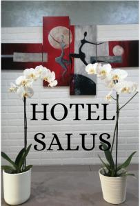 Fotografie z fotogalerie ubytování Hotel Salus v Miláně