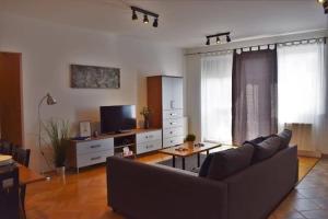 TV a/nebo společenská místnost v ubytování Cosy Apartment In Budapest Downtown WITH Free Garage Parking