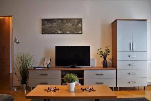 Televízia a/alebo spoločenská miestnosť v ubytovaní Cosy Apartment In Budapest Downtown WITH Free Garage Parking