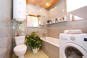 a bathroom with a toilet and a washing machine at Domki wczasowe Mazury - Ferienhaus Masuren - do 12 osób - idealny dla grup in Dłużek