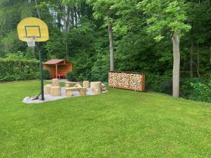 un patio trasero con un aro de baloncesto y un aro de baloncesto en Chata u potoka 124, en Černý Důl