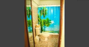 a bathroom with a toilet and a window at Casa Robinson Guest House in Culebra