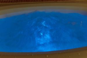 名古屋市にあるHOTEL LOVE (レジャーホテル）の青い水の浴槽で泳ぐ犬