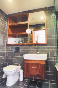 a bathroom with a toilet and a sink and a mirror at The Hayes - LONG STAY OFFER - Central Cardiff Abode by CTO Serviced Apartments in Cardiff