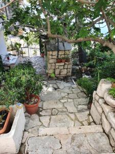 Zahrada ubytování Apartments Jerković Drašnice-2bd