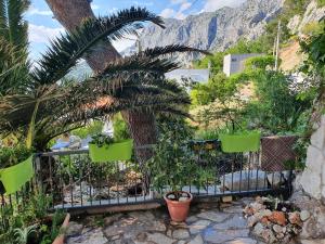 Zahrada ubytování Apartments Jerković Drašnice-2bd