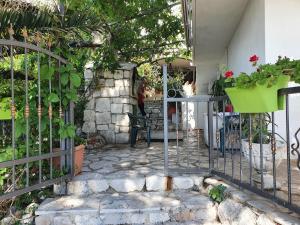 Zahrada ubytování Apartments Jerković Drašnice-2bd