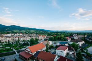 an aerial view of a town with buildings and a river at Caprioara Spa&Wellness Resort in Covasna