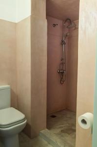 a bathroom with a toilet and a shower at Mistral-Patmos in Patmos