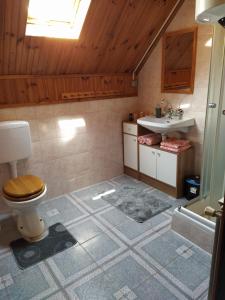 a bathroom with a toilet and a sink at Apartmani San in Plitvička Jezera +39 photos