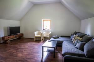 ein Wohnzimmer mit einem Sofa und einem TV in der Unterkunft Natur pur Pikovo in Črna na Koroškem