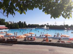 Bazén v ubytování Aroma Apartman nebo v jeho okolí
