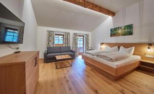 1 dormitorio con 1 cama, 1 silla y TV en Feriengut Streitberg Appartements, en Viehhofen