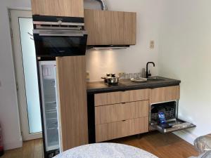 Kuchyň nebo kuchyňský kout v ubytování Horenbecca studio met tuin zwembad & bistro