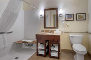 حمام في Comfort Suites Miamisburg - Dayton South