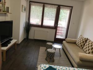 a living room with a couch and a tv at Bella apartman Balatonalmádi in Balatonalmádi +18 photos