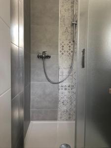a shower with a glass door in a bathroom at Apartments Nenich Aves in Žman