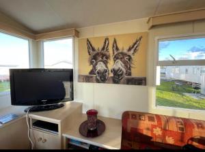 a living room with a tv and two donkeys on the wall at Steeple Bay F79 in Steeple