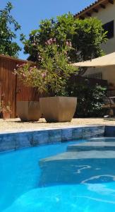 two potted plants sitting next to a swimming pool at Casa Francesca Altea piscina y aparcamiento privado in Altea