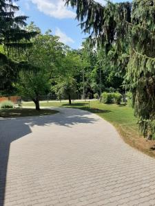 Vonkajšia záhrada v ubytovaní Kondics Apartmanház