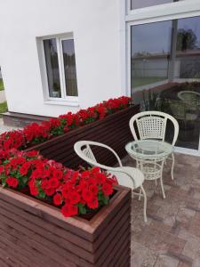 ヴェリーキー・ノヴゴロドにあるОтель "Веряжский"の赤い花が咲くパティオ(テーブル、椅子付)