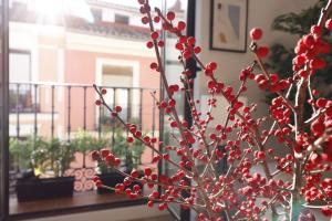 Ogród w obiekcie Reina Sofia Boutique II