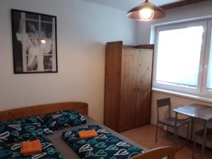 um quarto com uma cama, uma mesa e uma janela em Apartmán na Jižní em Olomouc