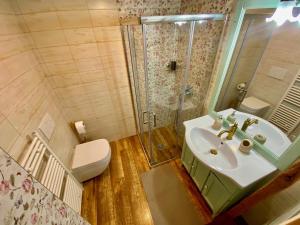 La salle de bains est pourvue d'un lavabo, d'une douche et de toilettes. dans l'établissement Rustic Apartment PETRA, à Vallée de la Soča