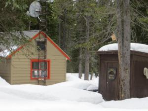 a building with a basketball hoop next to a tree at HI Mosquito Creek - Wilderness Hostel in Lake Louise
