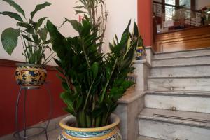 Zdjęcie z galerii obiektu Hotel Tonic w mieście Palermo