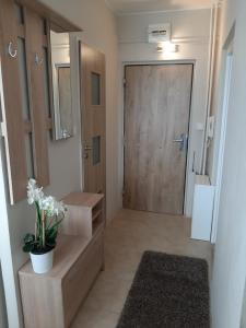 Fotografia z galérie ubytovania Apartmán Hanka v Znojme