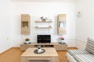 TV a/nebo společenská místnost v ubytování Apartments Villa Maja
