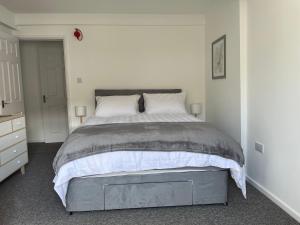 ein Schlafzimmer mit einem großen Bett in einem weißen Zimmer in der Unterkunft Brownston Apartments in Modbury