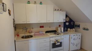 Kuchyňa alebo kuchynka v ubytovaní Vodice Family Apartment