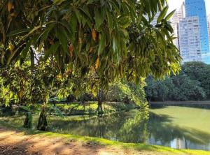 a body of water with trees and buildings in the background at Hotel Areião in Goiânia