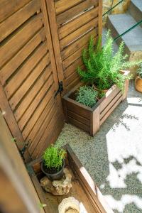 Zahrada ubytování Apartman Sidonija