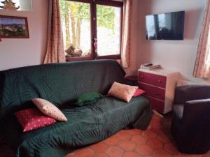 a green couch in a living room with a window at Chalet Lou Griou in Saint-Jacques-des-Blats