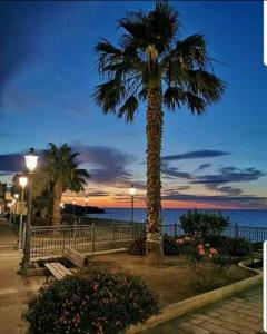 a palm tree next to a bench and the ocean at Orange House in Finale