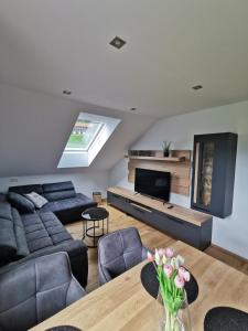 Posezení v ubytování Living Apartment_2