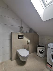a bathroom with a toilet and a washing machine at Living Apartment_2 in Hittisau +28 photos