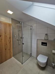 Koupelna v ubytování Living Apartment_2