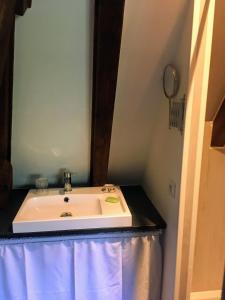 a bathroom with a sink and a mirror at Chalet Lou Griou in Saint-Jacques-des-Blats +14 photos