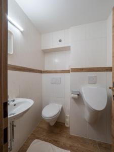 Fotografie z fotogalerie ubytování Brandtnerhof Betriebe v destinaci Waidring + 21 fotografií