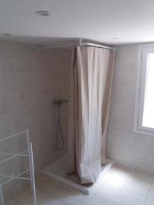 uma casa de banho com chuveiro e cortina de chuveiro em Le Clos Varnay Jardin em Meusnes