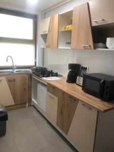 - une cuisine avec un plan de travail, un évier et un four micro-ondes dans l'établissement Vibe studio, à Piatra Neamţ