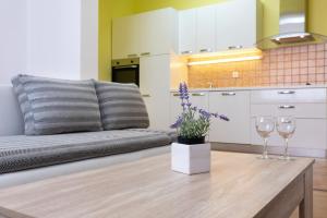 Kuchyň nebo kuchyňský kout v ubytování Apartments Villa Maja