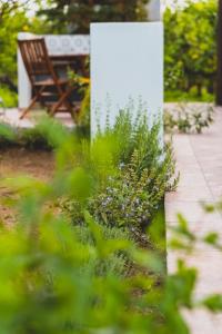 een bankje in een tuin met bloemen bij Il Limoneto Rooms in Terme Vigliatore