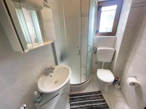 une salle de bain avec un lavabo, une douche et des toilettes dans l'établissement Apartmani Irena, à Jadranovo 26 autres photos
