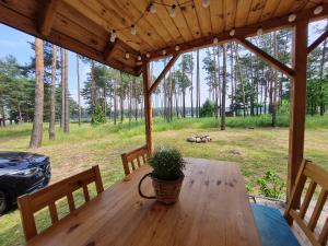Vonkajšia záhrada v ubytovaní Pod Czarnym Dzięciołem - dom z widokiem i prywatną balią + 37 fotografií